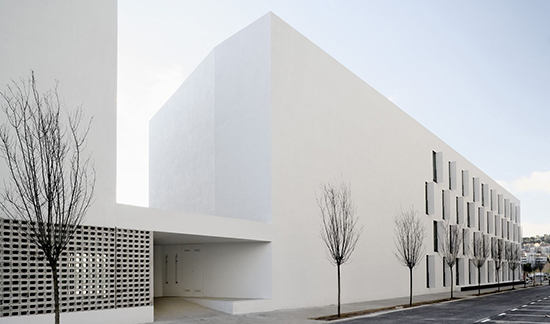 Exterior wall plain coated emulsion